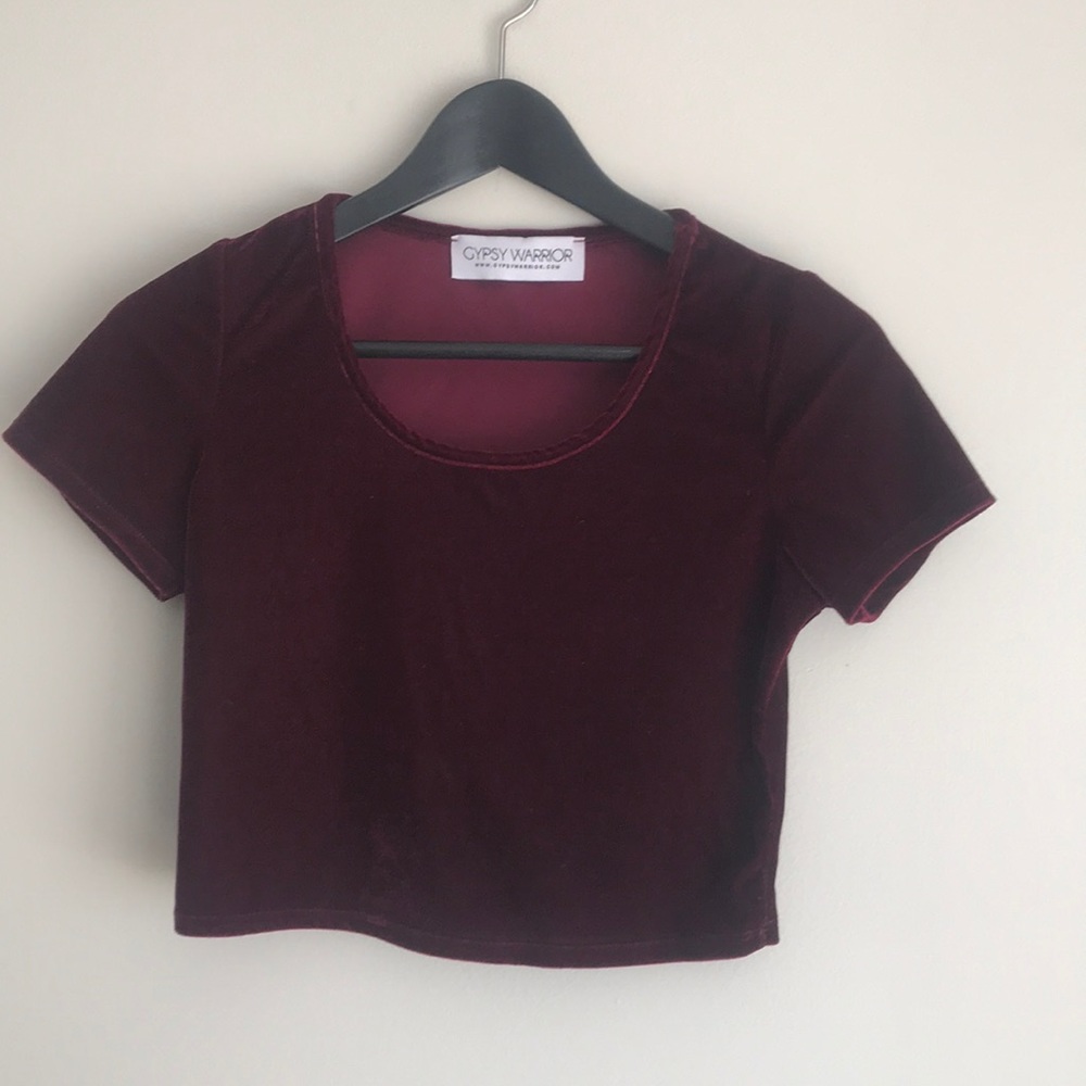Velvet Crop Top